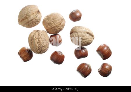 Walnuts and hazelnuts in shell isolated on a white background, top view Stock Photo