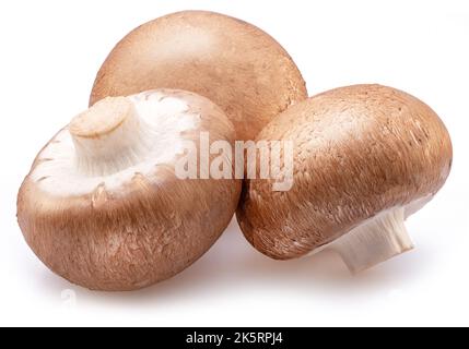 Brown cap champignons isolated on white background. Close-up. Stock Photo