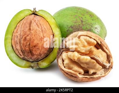 Fresh walnuts in green husk, opened walnut with kernel isolated on white background. Stock Photo