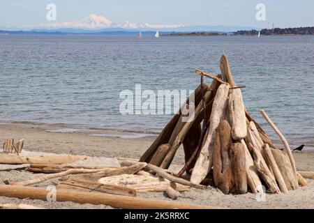 A campfire wood stack on the shore with Mount Baker and a sea in the background Stock Photo