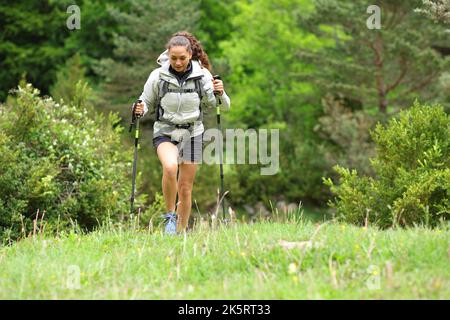 Front view portrait of a hiker walking towards you in a forest Stock Photo