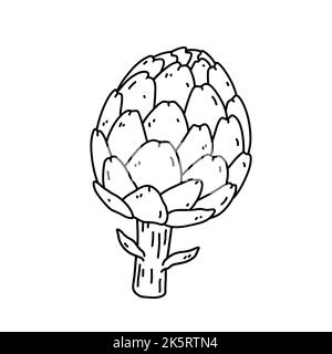 Artichoke isolated on white background. Organic healthy food. Vector hand-drawn illustration in doodle style. Perfect for cards, logo, decorations Stock Vector
