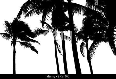 Coconut Palm Tree Silhouette. Vector Illustration Stock Vector Image & Art  - Alamy