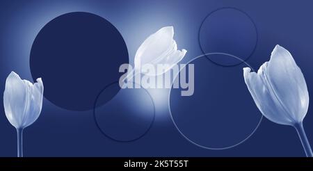 various circles flower tulips and flare like romantic background and mock up for design and product display in blue and white colors Stock Photo