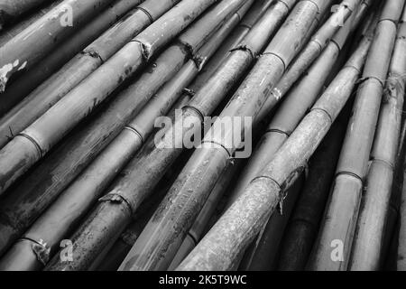 Bamboo texture, Monochrome photo of bamboo piles on the side of the road in the Cikancung area, Indonesia Stock Photo