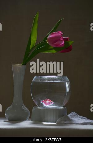 Glass Fish Bowl with Clear Water Isolated Stock Image - Image of bowl, fish:  194111047