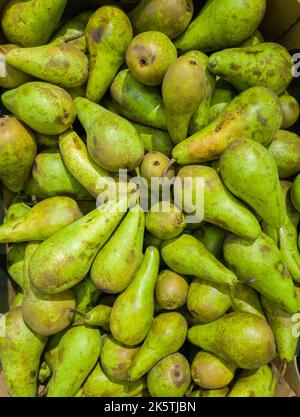 Fruits in a street market - pears. Stock Photo