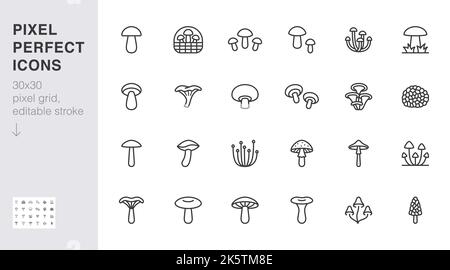 Forest mushroom line icon set. Chanterelle, champignon, shiitake, porcini, cep, truffle shiitake minimal vector illustration. Simple outline sign for Stock Vector