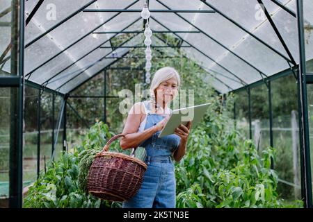 Senior woman using digital tablet and handling orders of her homegrown organic vegetables in her greenhouse, small business concept. Stock Photo