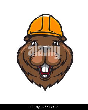 Beaver animal mascot in builder hardhat, construction, building and architecture vector emblem. Cartoon beaver mascot in yellow hardhat as worker engineer, carpenter or masonry service company badge Stock Vector