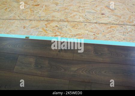 Laminate. Laying brown glossy laminate on the floor of the house. Apartment renovation. Replacing old floor with a new one. Laminate sheets are placed Stock Photo