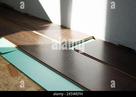 Laminate. Laying brown glossy laminate on the floor of the house. Apartment renovation. Replacing old floor with a new one. Laminate sheets are placed Stock Photo