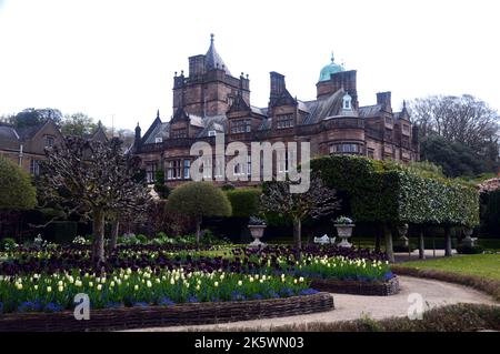 Displays of Tulips in the Borders of the Summer Garden at Holker Hall & Gardens, Lake District, Cumbria, England, UK Stock Photo