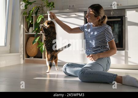 Pet lovers and domestic life concept. Young female owner playing with fluffy cute cat at home on floor Stock Photo