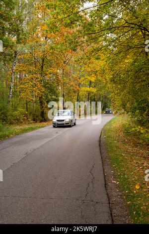 Autumn forest, road and car in motion on a sunny day. Stock Photo