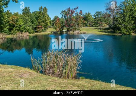 A small pond along the trail in a park surrounded by clusters of cattails with a aeration fountain in the middle on a bright sunny day in early autumn Stock Photo