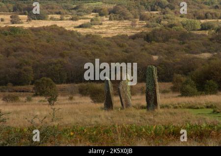 Standing Stones on Machrie Moor, Isle of Arran Stock Photo