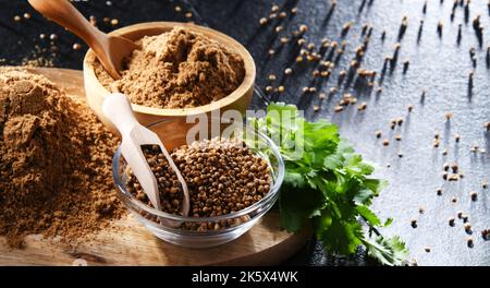 Composition with ground coriander, its dried seeds and fresh leaves Stock Photo