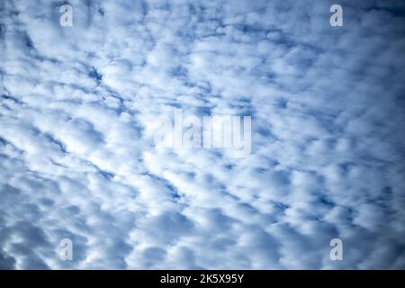 Blue sky background and white clouds soft focus. Stock Photo