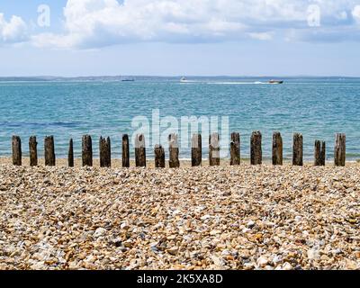 Old weathered breakwater posts in stony beach at Plymouth waterfront in south of England. Stock Photo