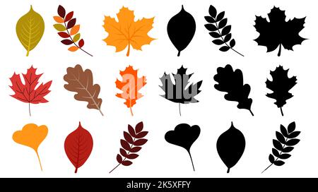 Set of autumn leaves. Silhouettes and colors leaves. Vector illustration isolated on white background Stock Vector