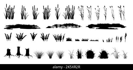 Set of shoots of reeds, reeds and coastal grass. Ferns and rotten stumps. Swamp landscape. View of the river bank. Silhouette picture. Isolated on Stock Vector