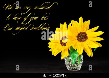 A sunflower in a  vase on a black background. Stock Photo