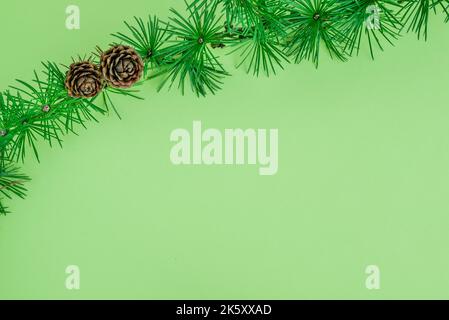 Cedrus deodara branch isolated on  background Stock Photo
