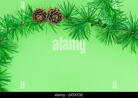 Cedrus deodara branch isolated on  background Stock Photo
