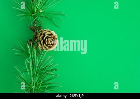 Cedrus deodara branch isolated on  background Stock Photo