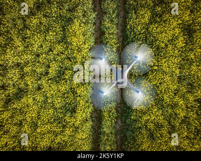 Drone Capturing Agriculture Data for Farming Overflying Crops in a ...