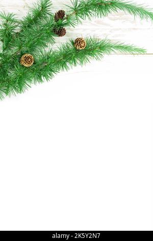 Cedrus deodara branch isolated on  background Stock Photo