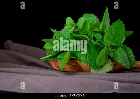 Lemon Balm (herb) tied in a bunch on white backgriound Stock Photo