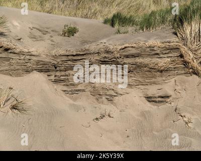 Stratification in sand dunes behind Dillon Beach in Marin County, California, United States near Tomales showing growth of the dunes over time. Stock Photo