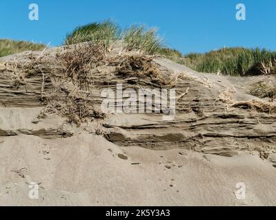 Stratification in sand dunes behind Dillon Beach in Marin County, California, United States near Tomales showing growth of the dunes over time. Stock Photo