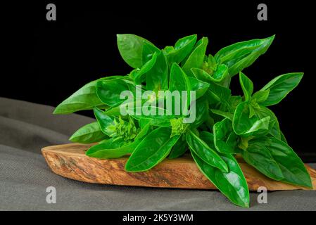Mediterranean diet: fresh basil on dark background Stock Photo