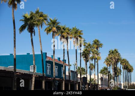 Afternoon view of downtown Chandler, Arizona, USA. Stock Photo