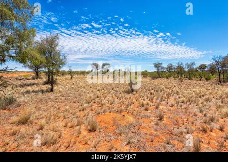 Typical scenery of the Simpson Desert in the Australian Outback, Northern Territory, NT, Australia Stock Photo