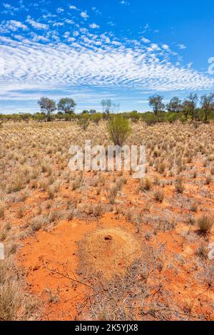 Vertical view of typical scenery of the Simpson Desert in the Australian Outback, Northern Territory, NT, Australia Stock Photo