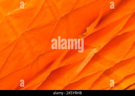 Orange colored ruffled paper cells abstract patterns and textures background with shallow depth of field. Stock Photo