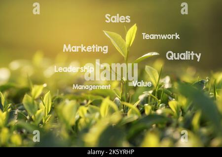 Concept or conceptual green tree business or marketing word cloud tagcloud Stock Photo