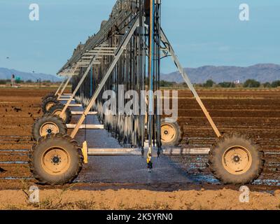 Birds congregate around a large field irrigation machine as it sprinkles water into an arid field, soon to be ripe with cotton Stock Photo