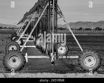 Birds congregate around a large field irrigation machine as it sprinkles water into an arid field, soon to be ripe with cotton Stock Photo