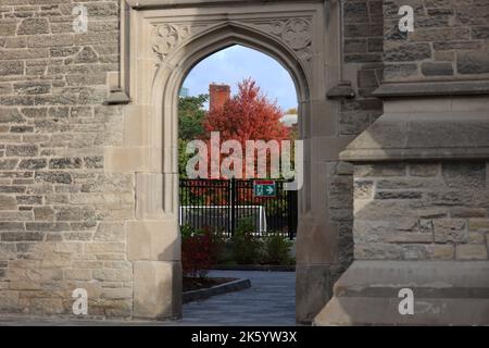 A fall tree blazing in orange is framed thru a stone archway Stock Photo