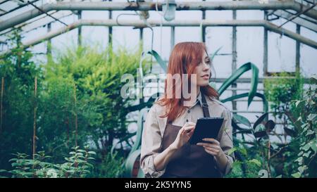 Young female farmer is walking in greenhouse, checking plants and using tablet. Farming and technology concept. Stock Photo