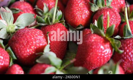 Whole juicy and ripe red strawberries on showcase Stock Photo
