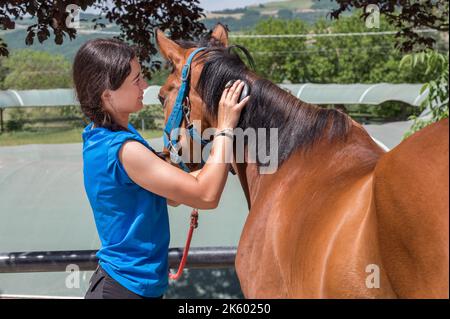 Side view of caring female brushing black mane of bay horse while standing on street on summer day in countryside Stock Photo