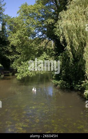 pleasant scene on a summer morning of the river Brett in Hadleigh Suffolk England Stock Photo