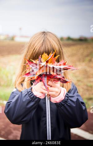 Caucasian child girl holding a bunch of colorful autumn leaves in front of her face. Outdoor setting, overcast weather. Vertical shot. Stock Photo