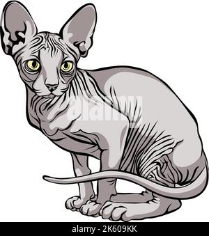 image of a cat, Sphynx cat, portrait, illustration, set, color, black, isolated, simple, icon, art, symbol, graphic, drawing Stock Vector
